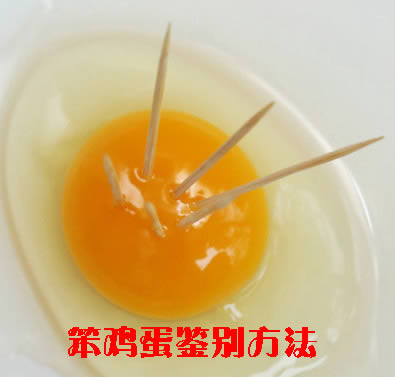 卖纯笨鸡蛋,出售铁岭山沟笨鸡蛋(柴鸡蛋、土鸡蛋、草鸡蛋) - 辽宁省,铁岭市,铁岭县,白旗寨满族乡